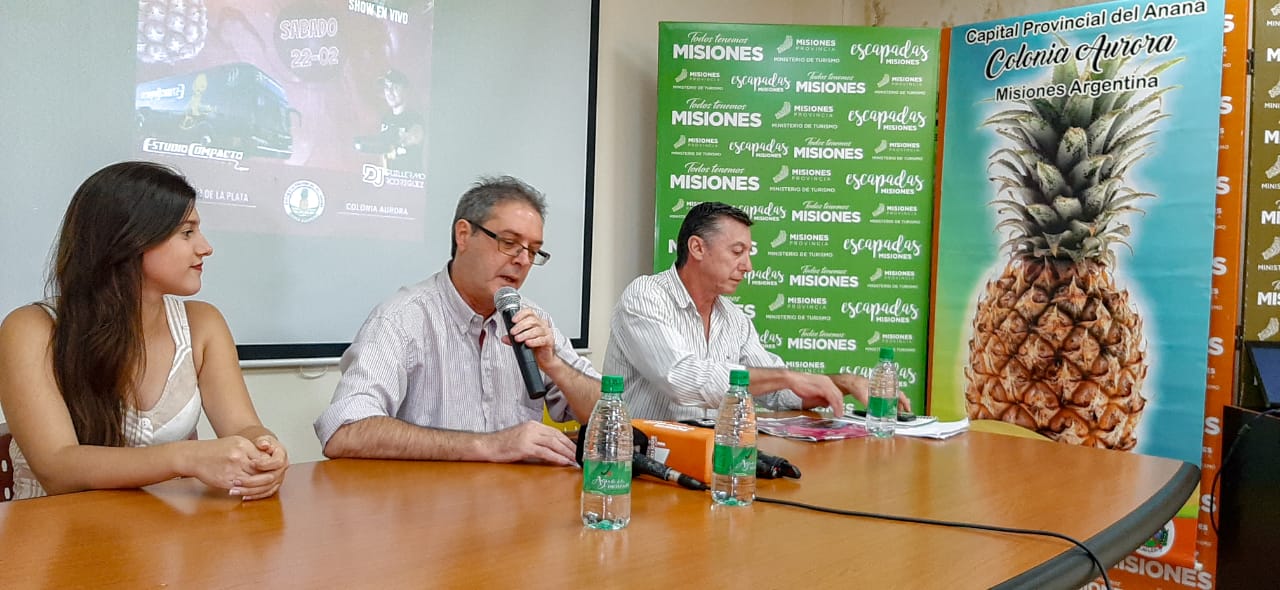 Fiesta del Ananá